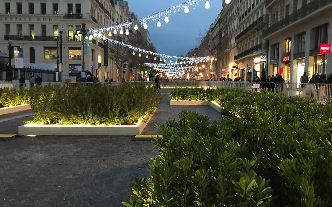 BiodiversiTerre d’Hiver – Installation