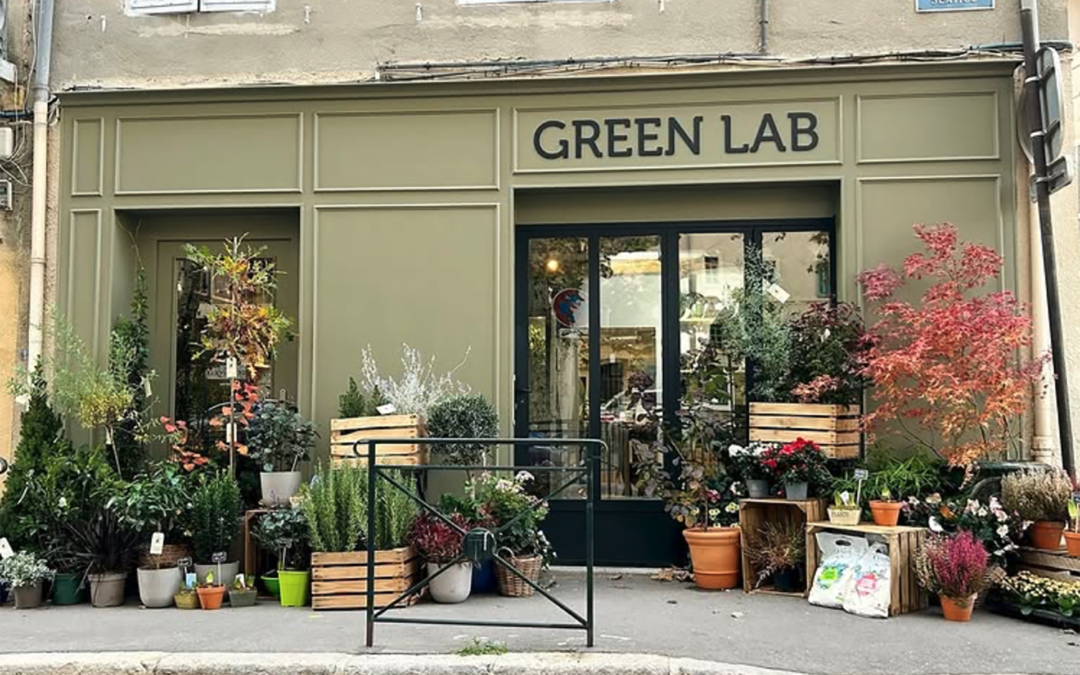 Green Lab Design – Boutique